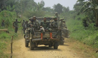 Over 40 dead in ADF rebel attack in eastern DR Congo: army