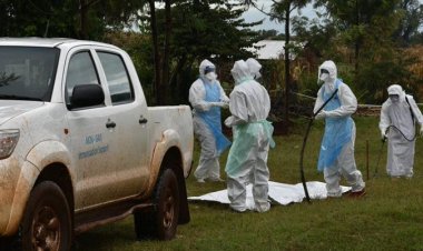 Rwanda heightens surveillance after Marburg virus outbreak in Tanzania