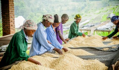 World Bank forecasts sub-Saharan Africa's economy to slow to 3.1% in 2023