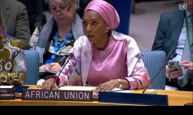 African Union calls for uniform voice on Sudan