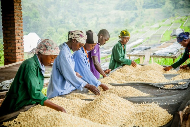 World Bank forecasts sub-Saharan Africa's economy to slow to 3.1% in 2023