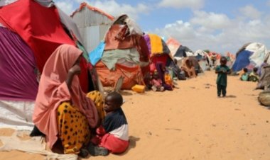 Over 7M children under 5 malnourished in Horn of Africa: UNICEF
