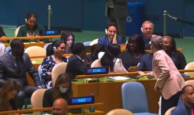 Algeria, Sierra Leone elected non-permanent members of UN Security Council