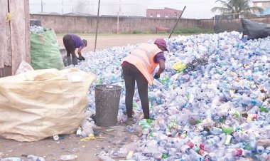 Int'l community mulls cooperation in waste management in Africa