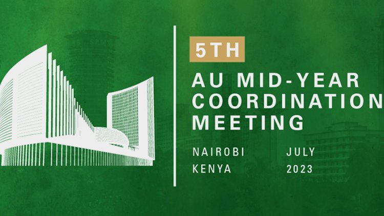 African leaders call for reforms of int'l financial system
