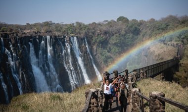 World Travel & Tourism Council CEO calls for easing visa application procedures