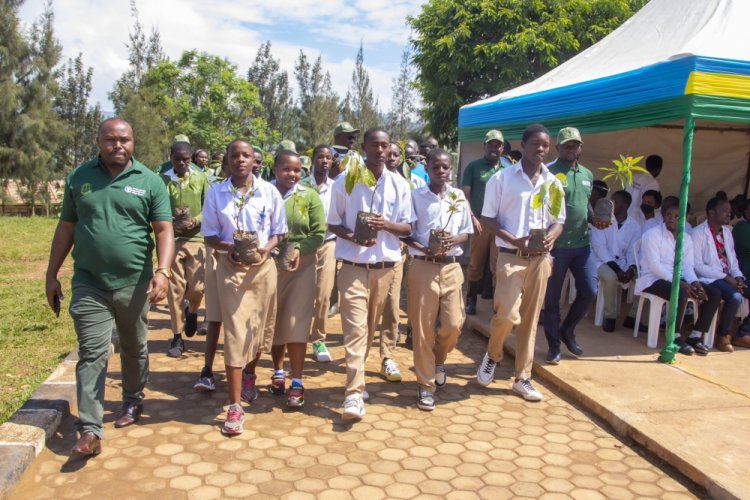 FAO, Rwanda launch campaign to plant fruit trees to promote green growth