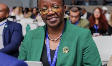 Rwanda calls for more ambitious climate action at COP28