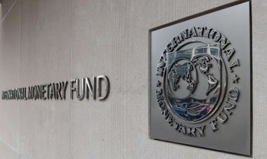 Rwanda gets $268M in IMF funding to respond to climate shocks