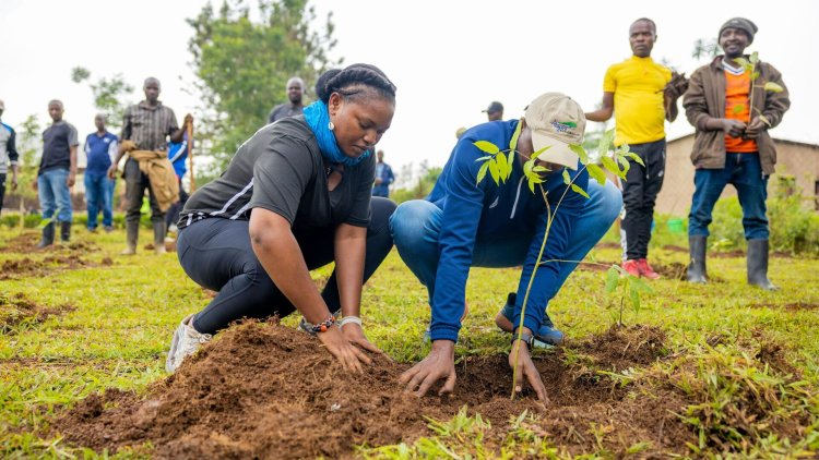 Rwanda to plant 2M trees around health facilities