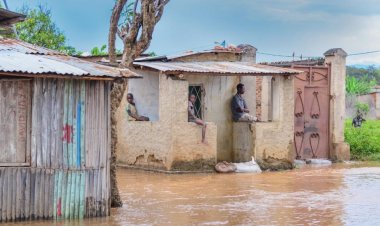 Rwanda urges new climate finance goal as COP29 opens