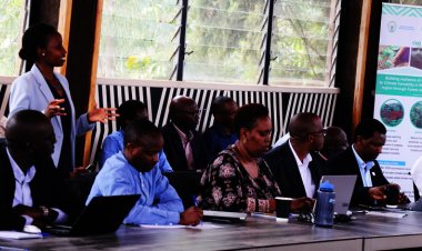 Rwanda launches project to boost climate resilience in 10 districts