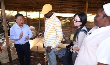 Rwandans embrace Chinese Juncao cultivation technology