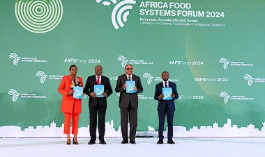 Africa Food Systems Forum calls for innovation, investment for food security