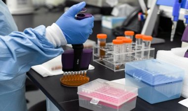 Africa HealthTech Summit explores role of technology in reshaping health care