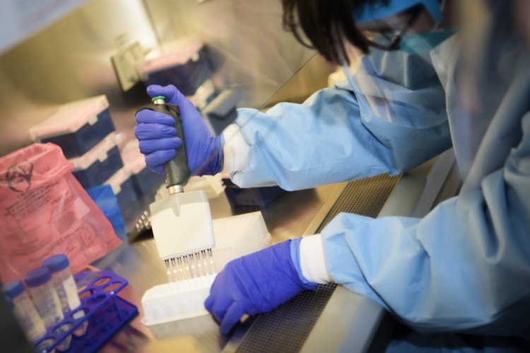 Rwanda to begin trials for vaccine, treatment for Marburg virus