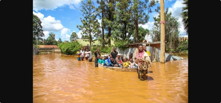 23 killed as heavy rains wreak havoc in Kenya