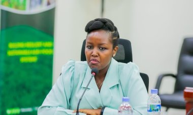 Rwanda considers social media ban for under-16s: official